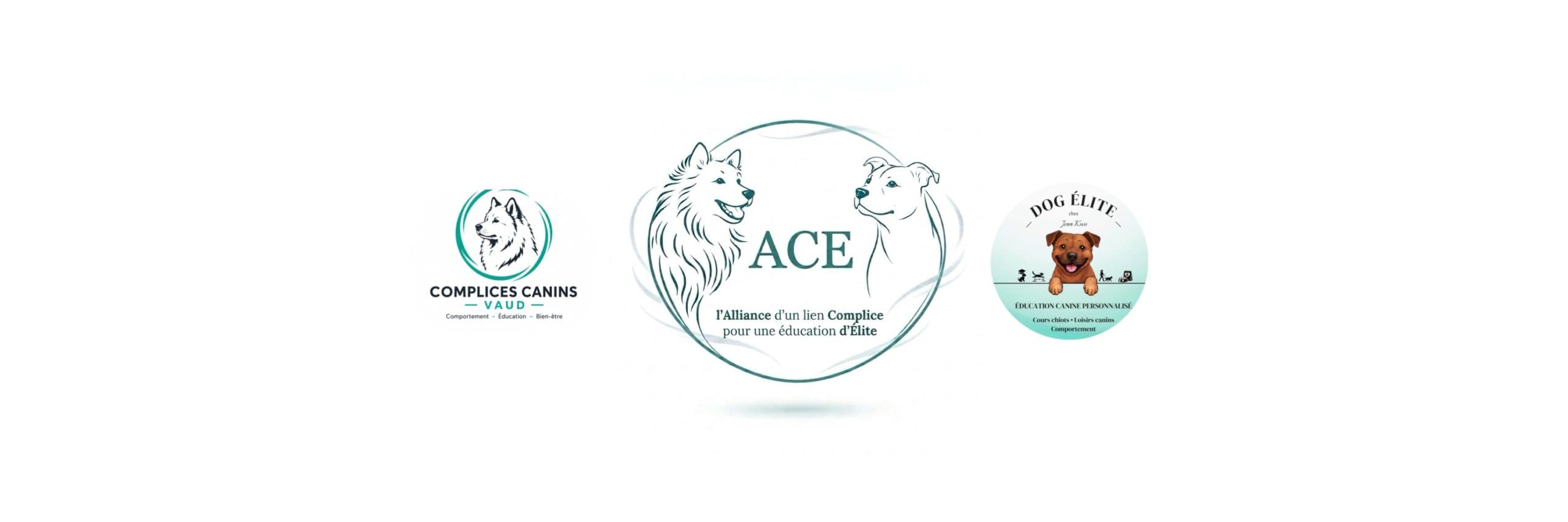 Complices Canins et Dog Élite réunis pour créer ACE