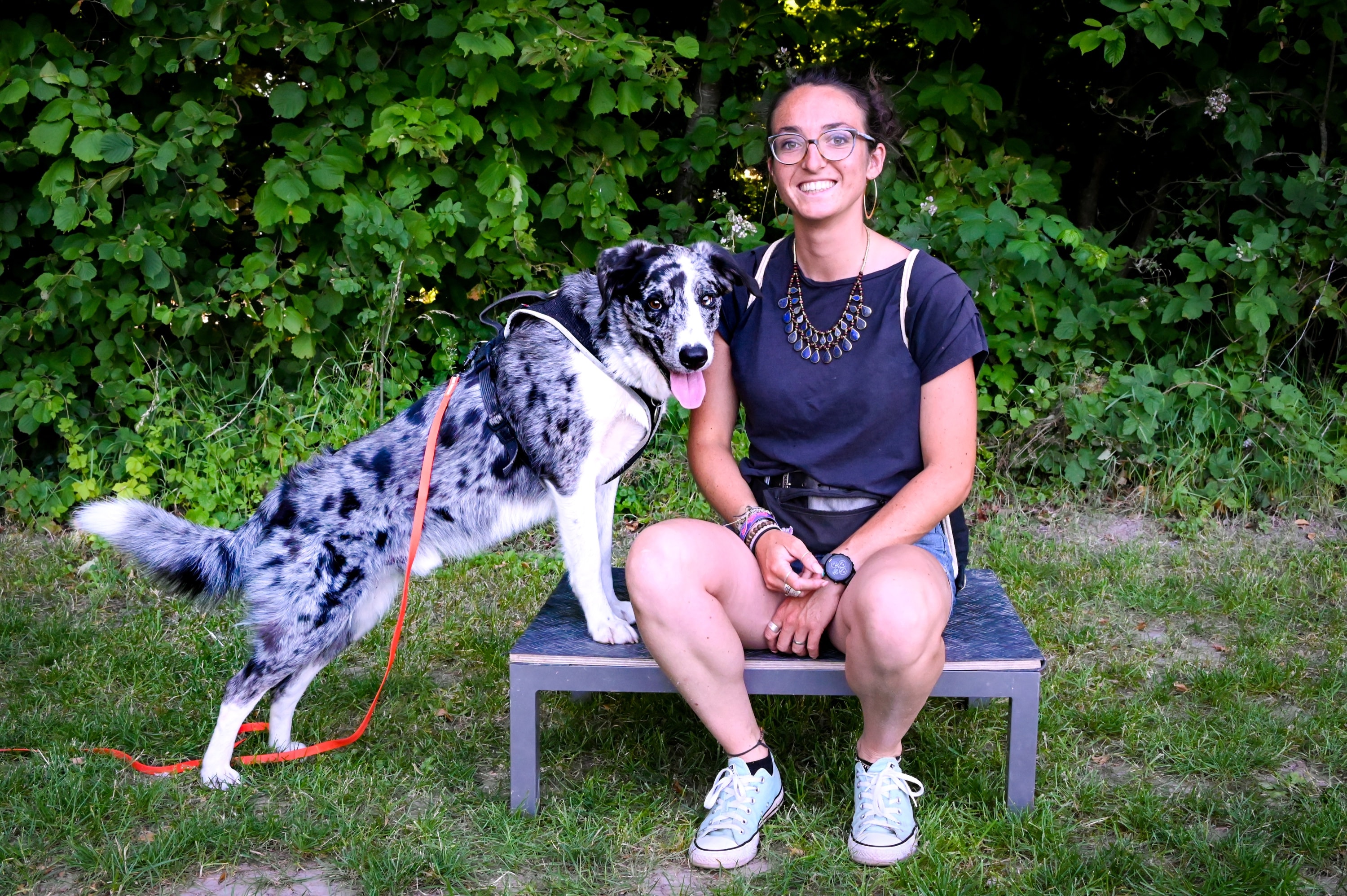 Cours privé d’éducation canine avec un chien et son humaine