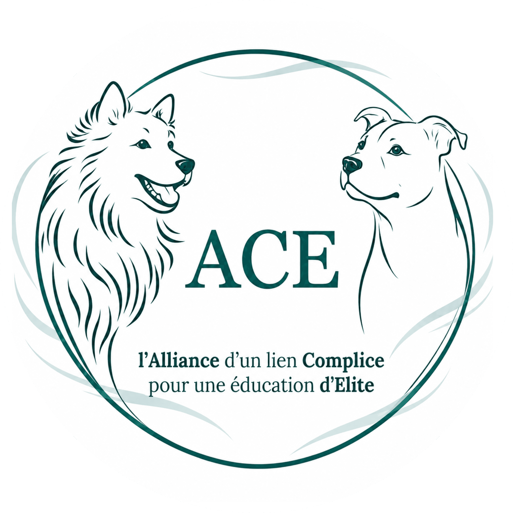 ACE Dog Academy